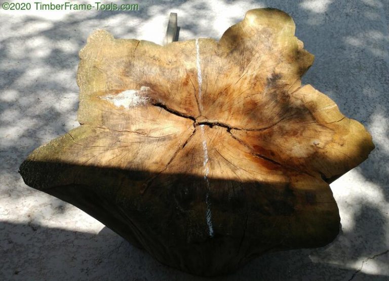 Timber Frame Tools » Cypress Stump End Tables