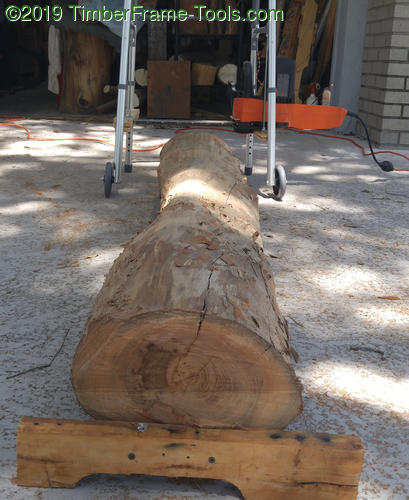 cutting slab with Florida chainsaw mill