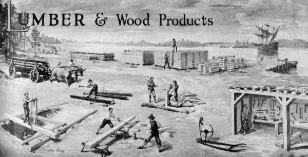 Lumber production in colonial Jamestown